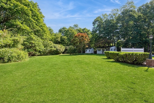 107 S Country Rd, East Patchogue, NY 11772 - view of green lawn