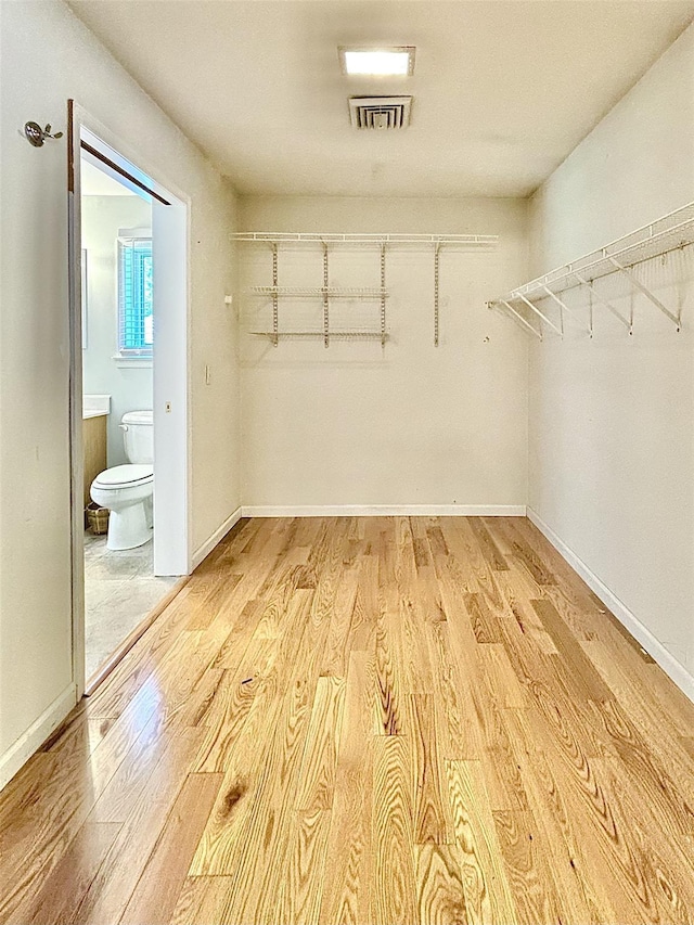167 Benner Rd, Red Hook, NY 12571 - spacious closet with light wood-style floors
