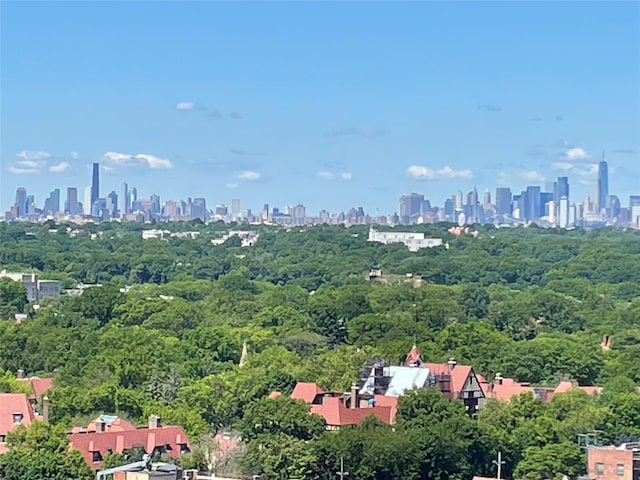 112-01 Queens Blvd Unit 20-E, Forest Hills, NY 11375 - aerial view of skyline