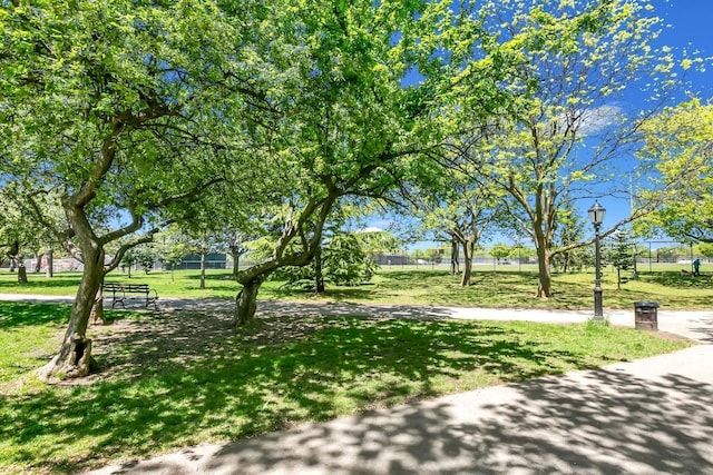 66-48 73rd Pl, Middle Village, NY 11379 - surrounding community