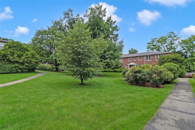 221 Schrade Unit 2G, Briarcliff Manor, NY 10510 - view of green lawn