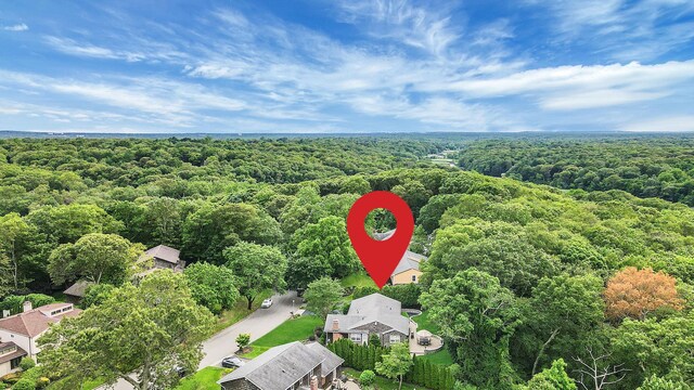 30 Twixt Hills Rd, Saint James, NY 11780 - bird's eye view of a heavily wooded area