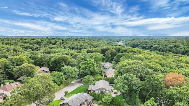 30 Twixt Hills Rd, Saint James, NY 11780 - aerial view of residential area with a forest