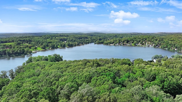 14 Skyline Trl, Salisbury Mills, NY 12577 - photo 8