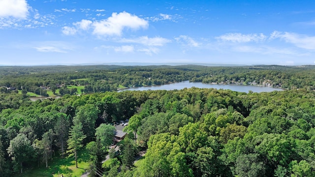 14 Skyline Trl, Salisbury Mills, NY 12577 - photo 9