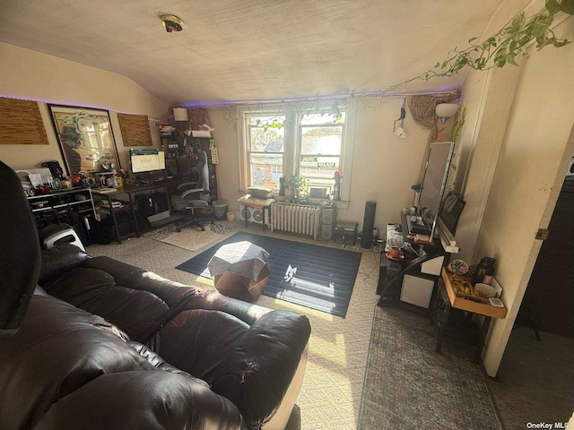 43-67 149th St, Flushing, NY 11355 - carpeted living area featuring radiator heating unit and lofted ceiling