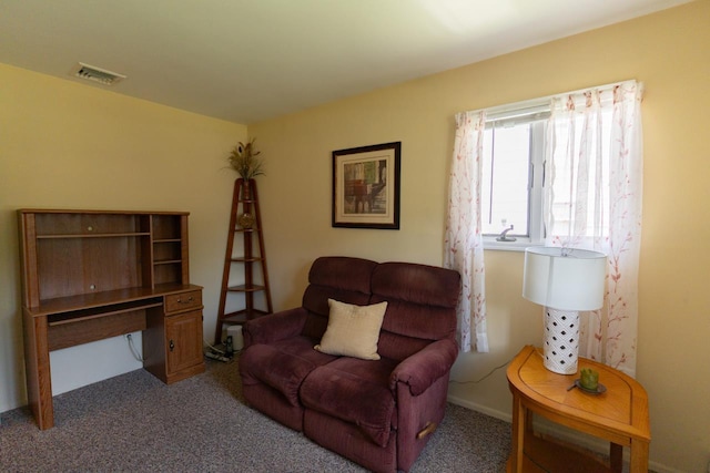 302 Carlls Path, Deer Park, NY 11729 - photo 17