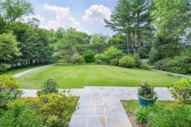 54 Hereford Rd, Bronxville, NY 10708 - photo 3