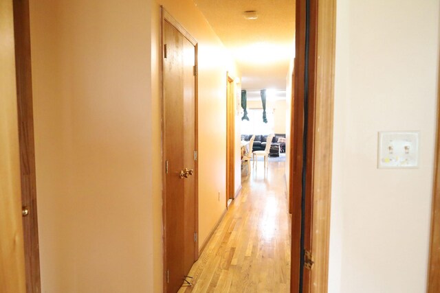 572 Glenmore Ave, Brooklyn, NY 11207 - photo 11