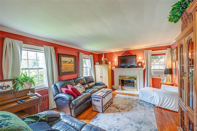 227 Elm St, West Hempstead, NY 11552 - living room featuring healthy amount of natural light, wood finished floors, a glass covered fireplace, and crown molding