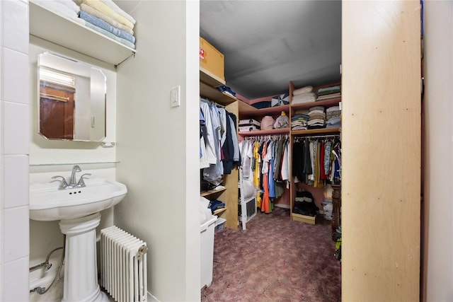 610 Van Cortlandt Park Ave, Yonkers, NY 10705 - walk in closet featuring radiator and carpet