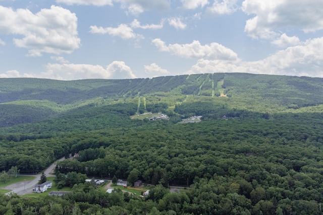265 Tangora Cir, Fleischmanns, NY 12441 - photo 4