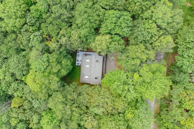 265 Tangora Cir, Fleischmanns, NY 12441 - photo 31