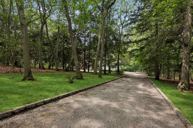 7 Highwood Rd, Setauket, NY 11733 - photo 43