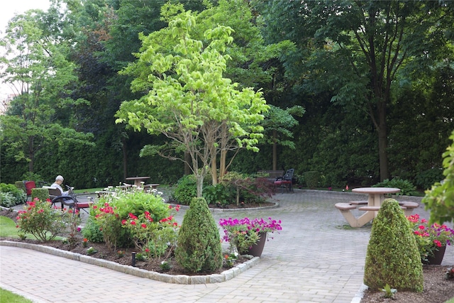 4 Fordham Hill Oval Unit 12B, Bronx, NY 10468 - surrounding community with a patio area