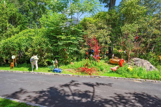 400 Beechmont Dr, New Rochelle, NY 10804 - view of road with curbs