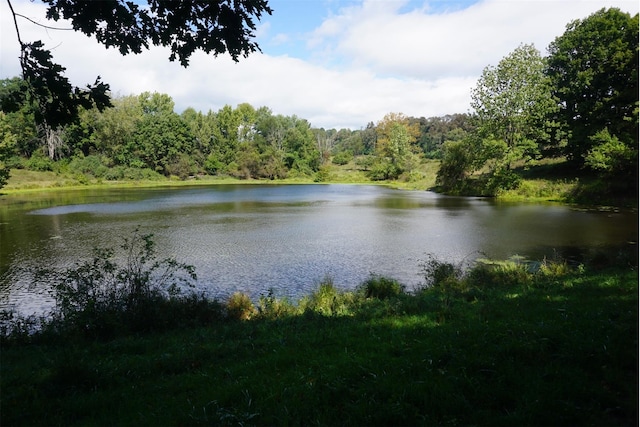 2045 Salt Point Tpke, Salt Point, NY 12578 - water view with a heavily wooded area