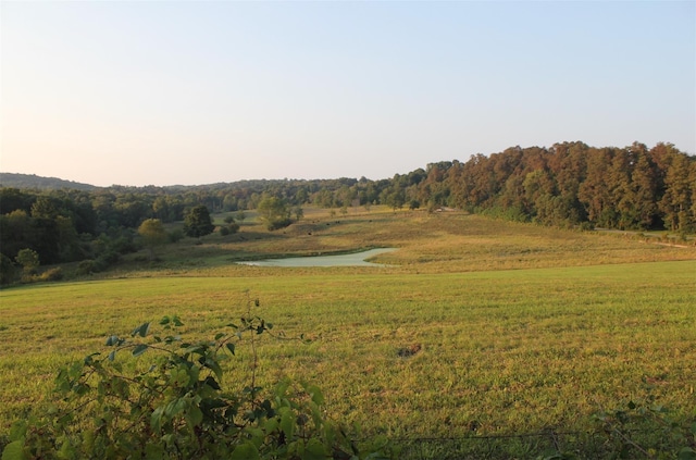 2045 Salt Point Tpke, Salt Point, NY 12578 - view of local wilderness with a nearby body of water