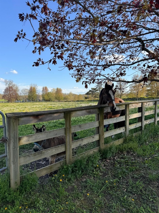 2045 Salt Point Tpke, Salt Point, NY 12578 - gate with a view of countryside