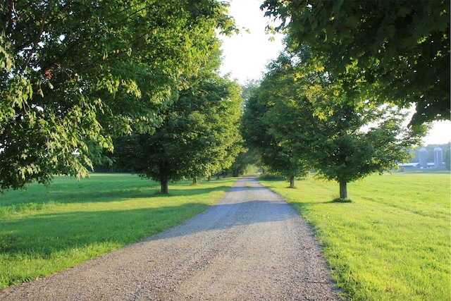 2045 Salt Point Tpke, Salt Point, NY 12578 - view of road