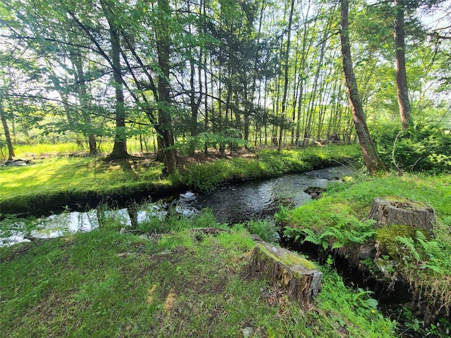 39 E James Ave, Smallwood, NY 12778 - view of yard