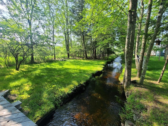39 E James Ave, Smallwood, NY 12778 - view of green lawn