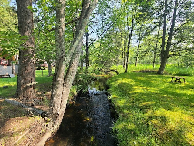 39 E James Ave, Smallwood, NY 12778 - view of grassy yard