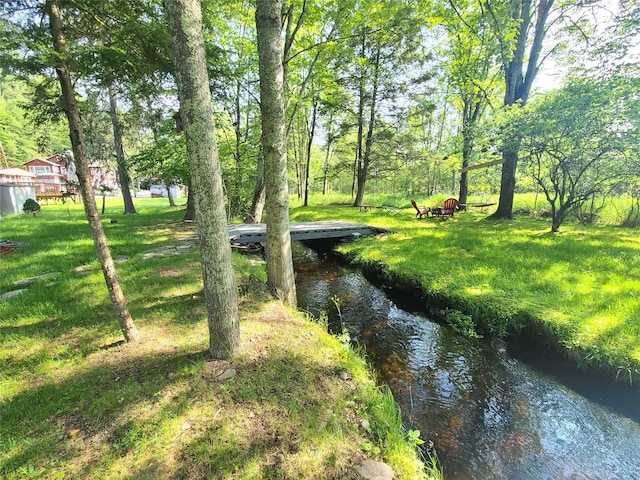 39 E James Ave, Smallwood, NY 12778 - view of green lawn