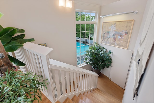 56 Tuthill Point Rd, East Moriches, NY 11940 - staircase with wood finished floors