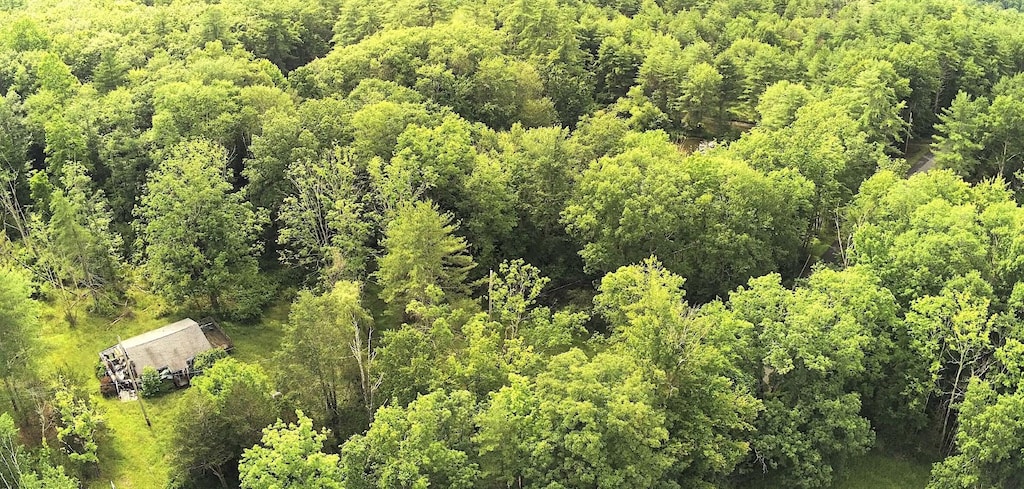 44 Stony Rd, Accord, NY 12404 - bird's eye view of a heavily wooded area