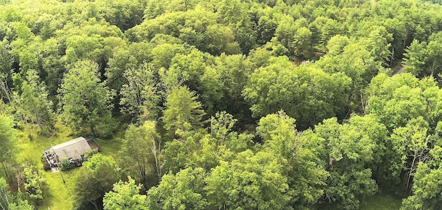 44 Stony Rd, Accord, NY 12404 - bird's eye view of a heavily wooded area