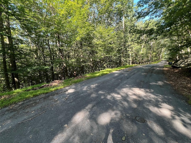 39 Hilltop Ln, Narrowsburg, NY 12764 - view of asphalt street featuring a forest view