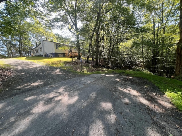 39 Hilltop Ln, Narrowsburg, NY 12764 - view of yard