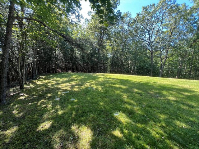 39 Hilltop Ln, Narrowsburg, NY 12764 - photo 22