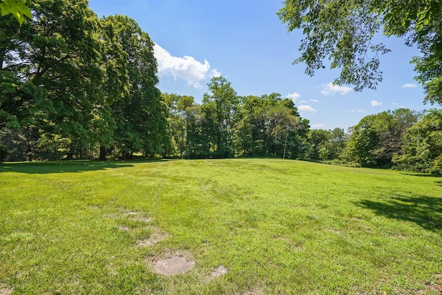 249 Old Post Rd, Bedford Corners, NY 10549 - photo 29
