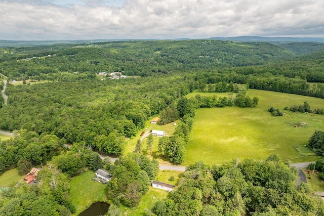 117 Moore Rd, Woodbourne, NY 12788 - photo 33