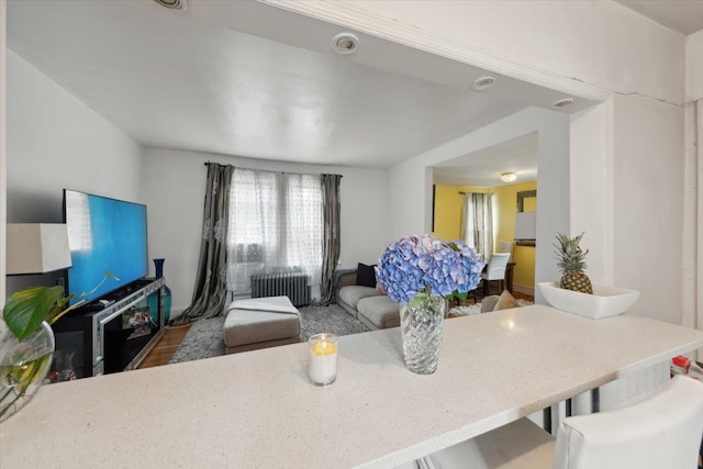 317 Hawthorne Ave, Yonkers, NY 10705 - kitchen featuring radiator, wood finished floors, and open floor plan