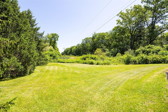 17 Vorndran Dr, Wappingers Falls, NY 12590 - photo 31