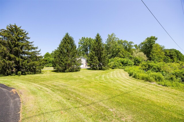 17 Vorndran Dr, Wappingers Falls, NY 12590 - photo 32