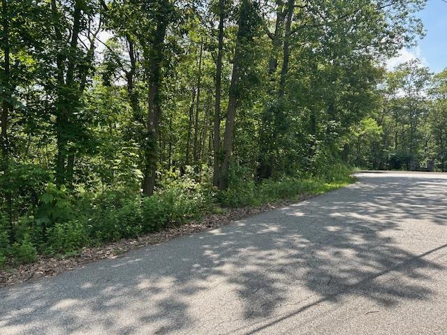 50 Crest Dr, Mahopac, NY 10541