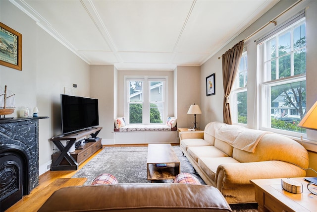 12 Beechwood Ter, Poughkeepsie, NY 12601 - living room featuring wood finished floors, healthy amount of natural light, and crown molding