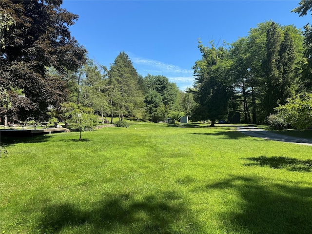 185-199 Field Rd, Clinton Corners, NY 12514 - photo 13