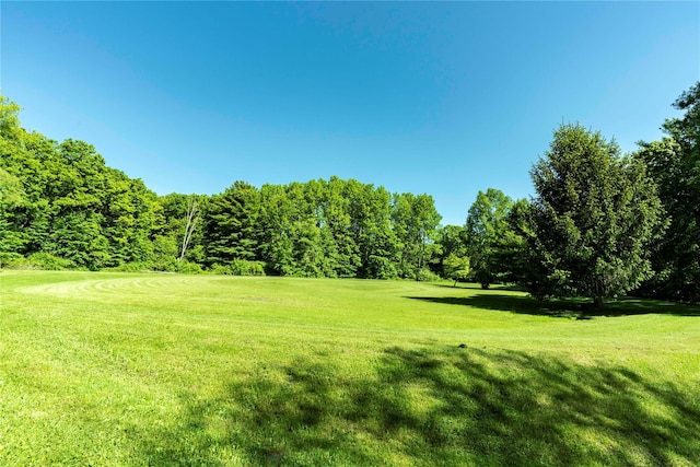 185-199 Field Rd, Clinton Corners, NY 12514 - photo 14