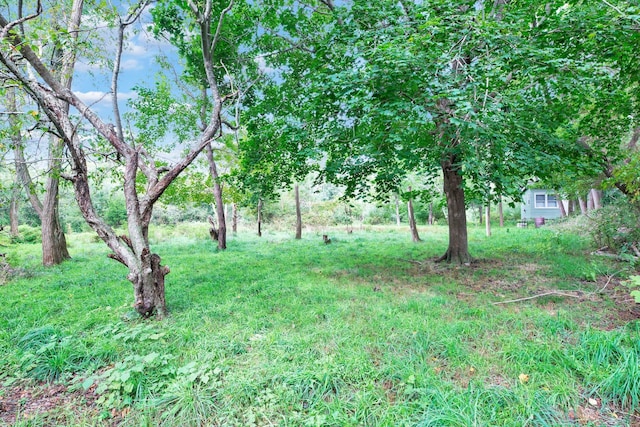 965 Breakwater Rd, Mattituck, NY 11952 - view of yard