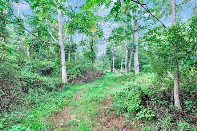 965 Breakwater Rd, Mattituck, NY 11952 - view of wooded area