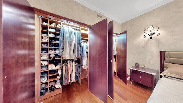 20 Corbin Pl, Brooklyn, NY 11235 - view of closet