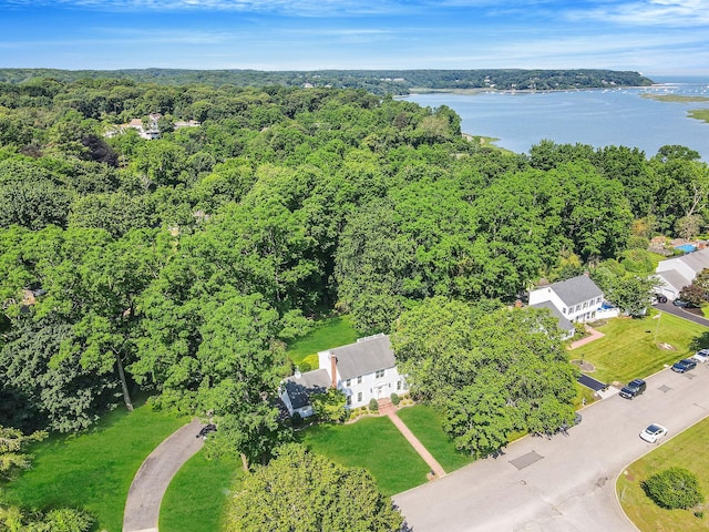 2 Seaview Ln, Mount Sinai, NY 11766 - aerial view of a nearby body of water and a heavily wooded area