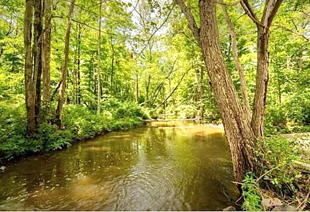 12 Russell Rd, Wappingers Falls, NY 12590 - water view with a forest