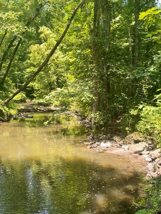 12 Russell Rd, Wappingers Falls, NY 12590 - view of wooded area