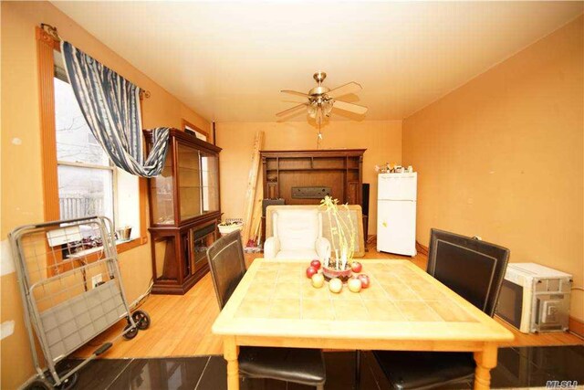 21 Charlotte St, Ridgewood, NY 11385 - photo 11